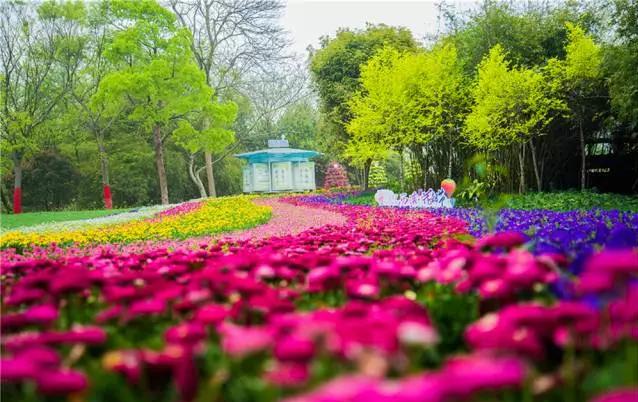 湖北園林景觀中的重頭戲——植物景觀設(shè)計